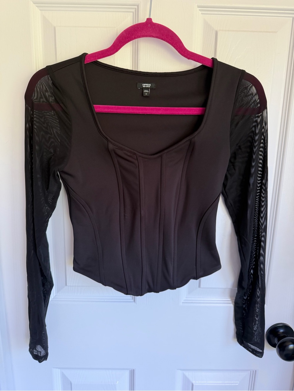 Express Black Long-Sleeve Mesh Sleeve Corset Scoop Neck Top